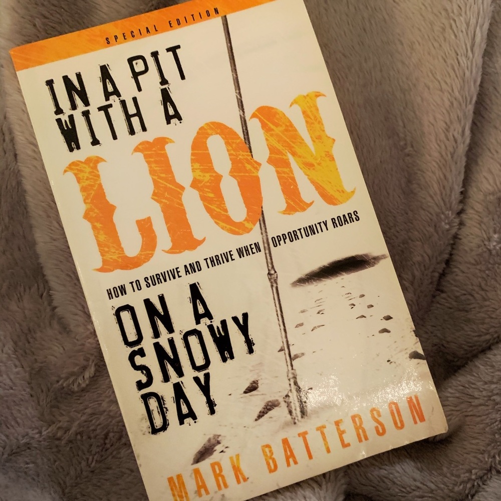 In a Pit With a Lion On a Snowy Day